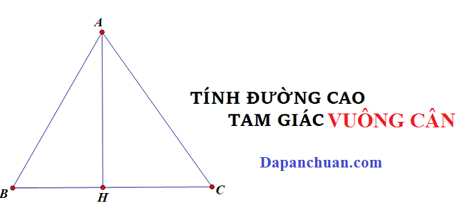 đường cao trong tam giác vuông cân