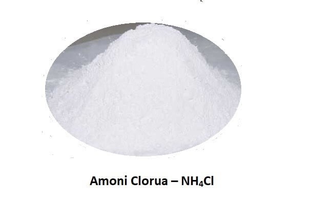 Amoni Clorua có làm đổi màu quỳ tím không