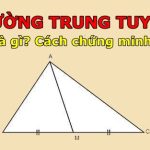 Cách chứng minh đường trung tuyến